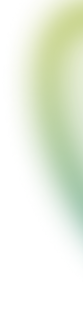 banner_right_bg